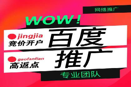 百度搜索引擎优化推广案例解析